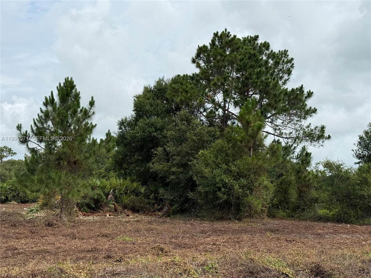 760 Nogal St - Photo 1
