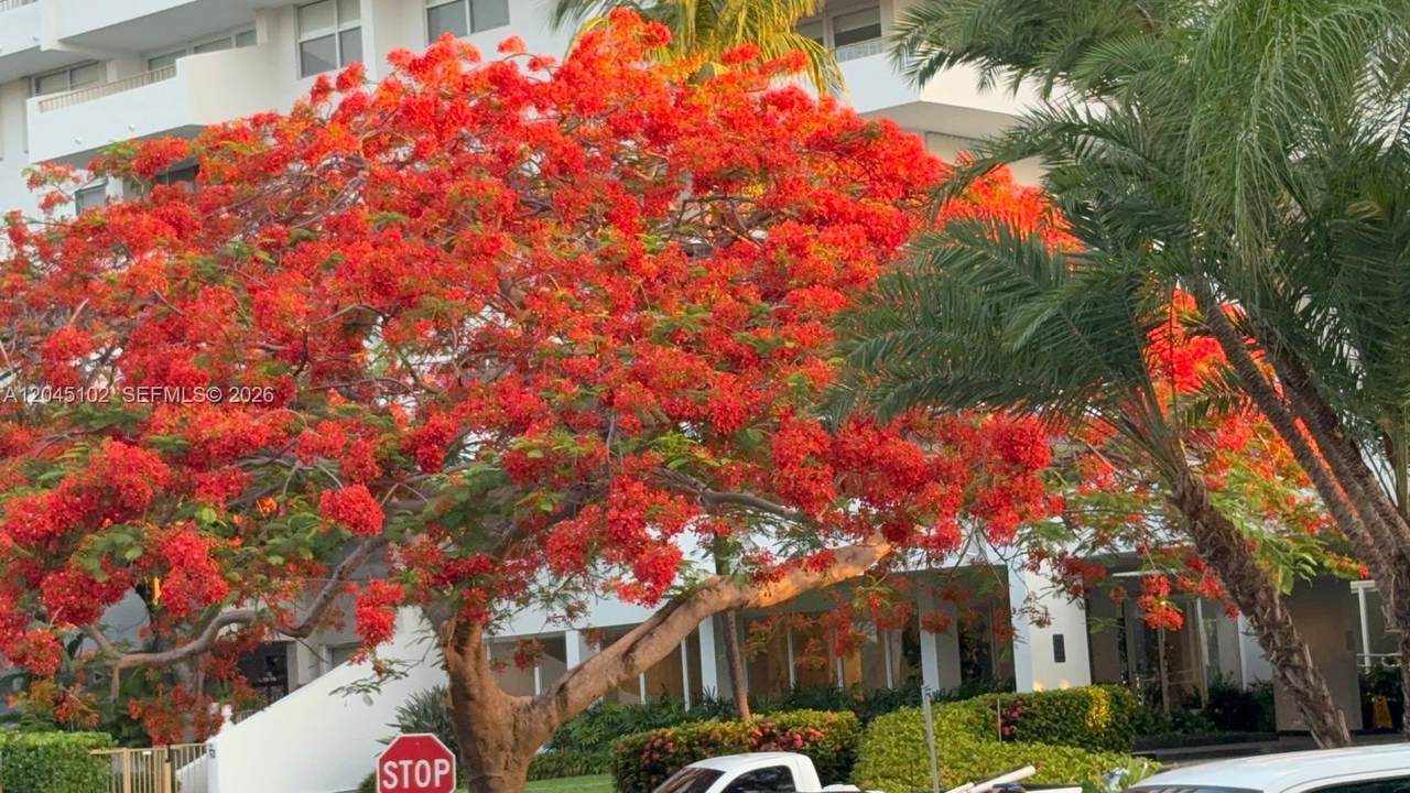 https://bt-photos.global.ssl.fastly.net/miami/1280_boomver_2_A12045102-2.jpg