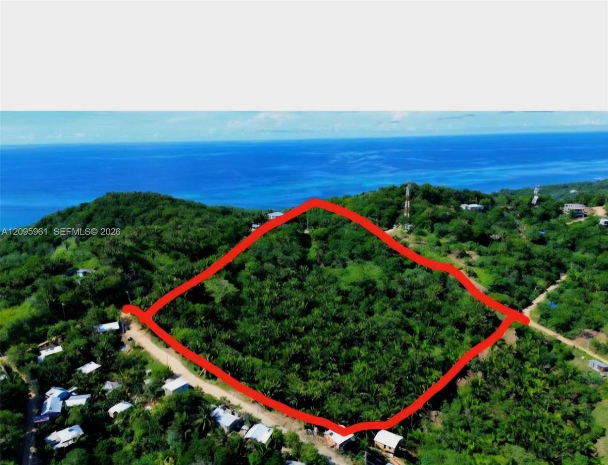  Crawfish Rock Rd & Palmito Bay - Photo 1
