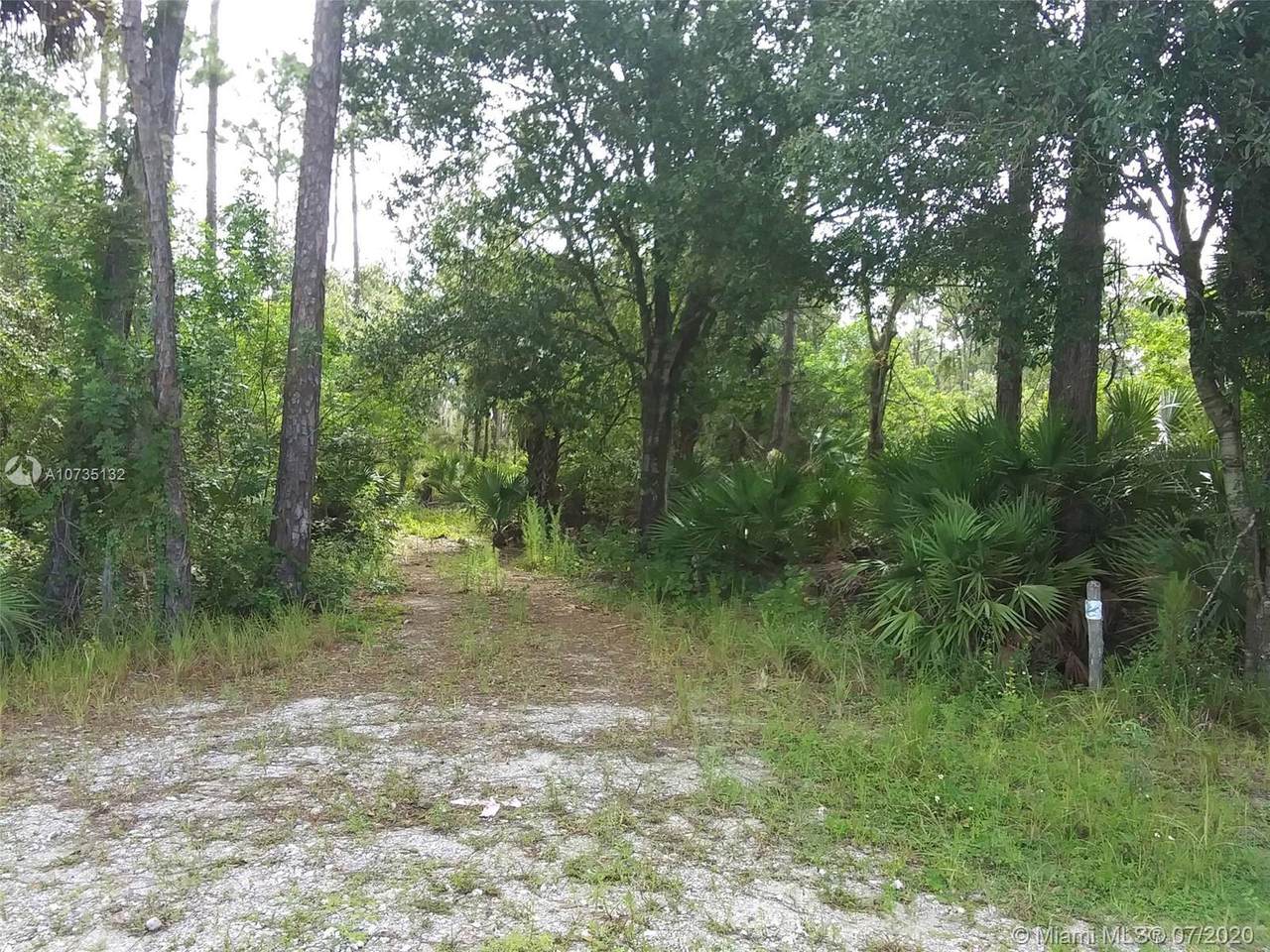 10144 County Road 833 - Photo 1
