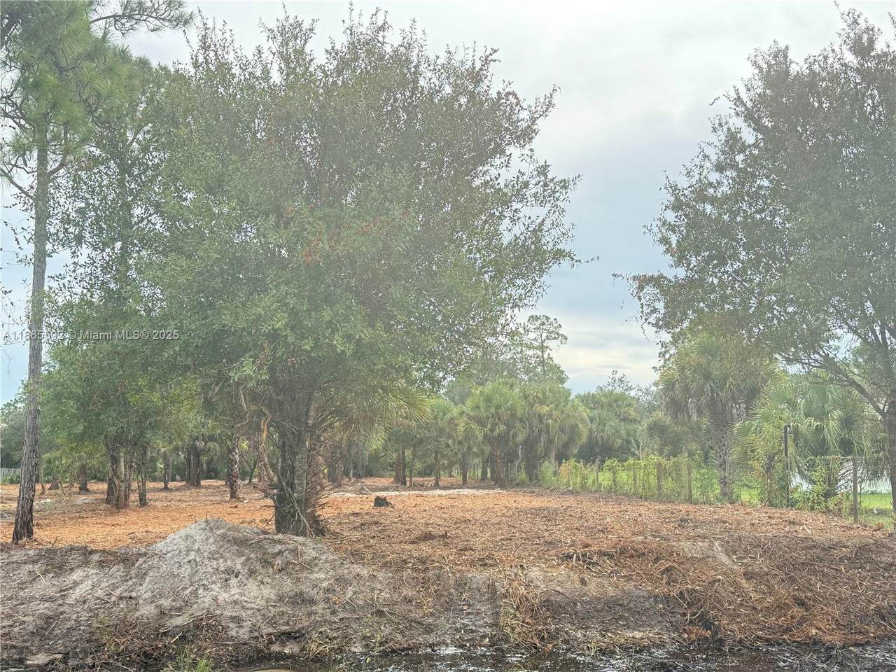 565 Datil St - Photo 1