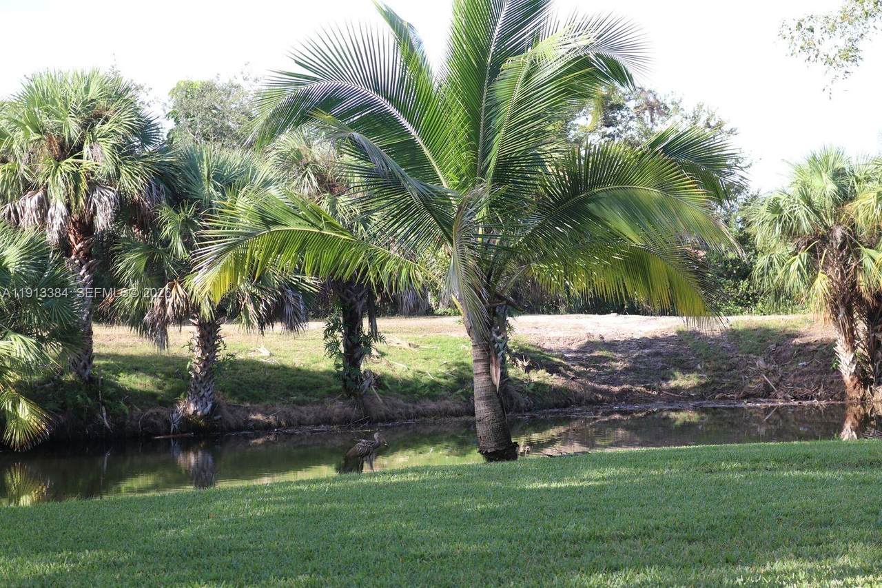 https://bt-photos.global.ssl.fastly.net/miami/1280_boomver_3_A11913384-2.jpg