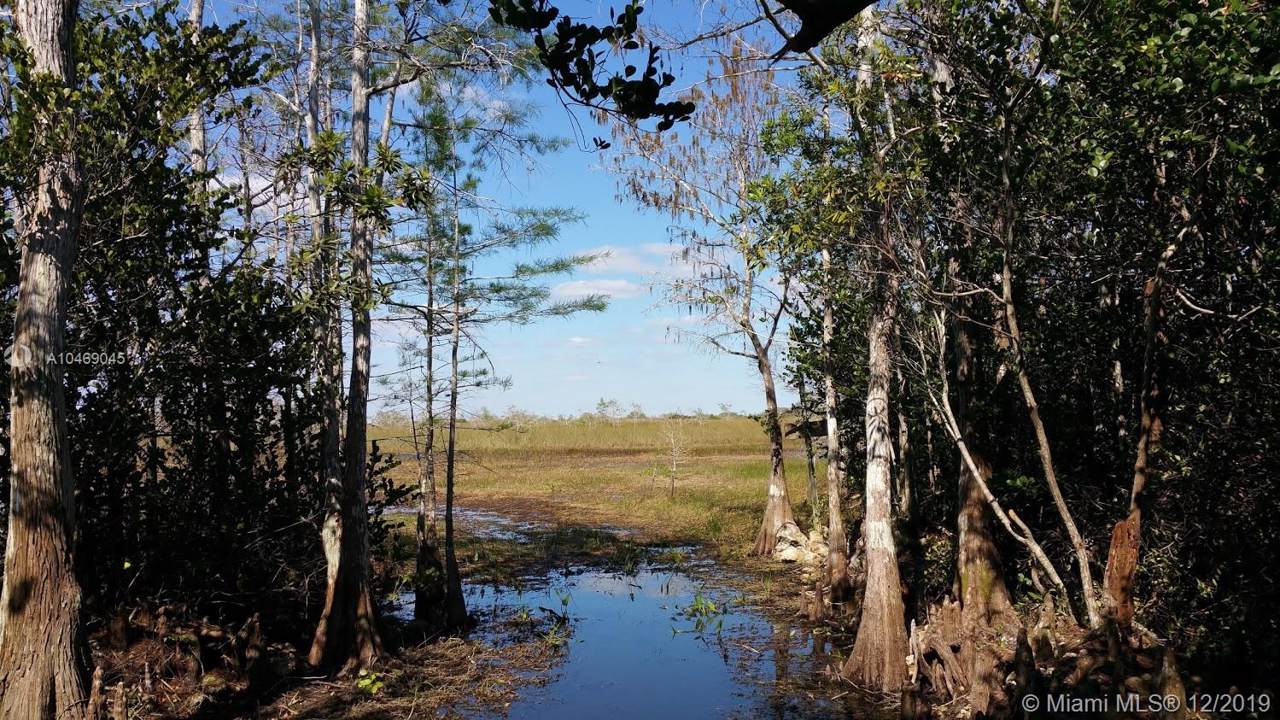 0 Everglades - Photo 1