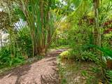 4209 Pinewood Ln - Photo 63