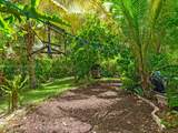 4209 Pinewood Ln - Photo 64
