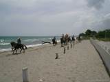 La Ceiba Honduras - Photo 17