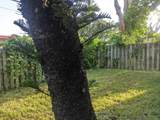 6400 Sheridan St - Photo 8