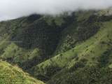 Kilometro 4 Via Sale Toche, Quindio - Photo 24