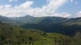 Kilometro 4 Via Sale Toche, Quindio - Photo 35