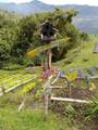 Kilometro 4 Via Sale Toche, Quindio - Photo 39