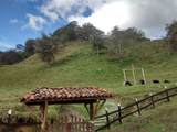 Kilometro 4 Via Sale Toche, Quindio - Photo 40