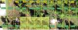 26318 Hapsburg Rd - Photo 4