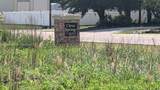 51 Citrus Springs Blvd - Photo 1