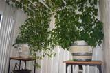 3940 42nd Ave - Photo 8