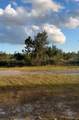 423 Gaillardia - Photo 1