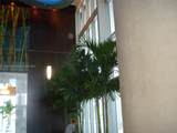 185 7th St - Photo 8