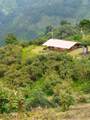  Armenia-Quindio - Photo 1