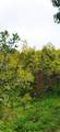  Armenia-Quindio - Photo 4