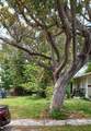 1841 70th St - Photo 7