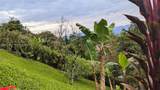 Casa Linda Vista Turrialba, Cartago, Costa Rica - Photo 51
