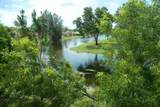 1157 Golden Lakes Blvd - Photo 22