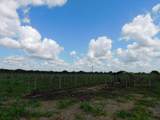 20400 203 Ave - Photo 1