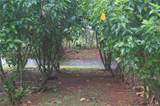 3805001 Pedasi - Photo 20