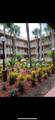 10875 112th Ave - Photo 2