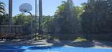 1935 Gardenia Ct - Photo 39