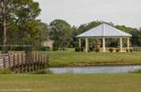 8525 Balada Dr - Photo 12
