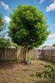 8615 15th St - Photo 14