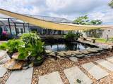 509 Solida Cir - Photo 19