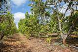 25420 224th Ave - Photo 34