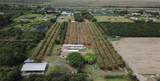 25420 224th Ave - Photo 43