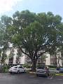 2701 Riverside Dr - Photo 1