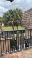 10856 Royal Palm Blvd - Photo 4