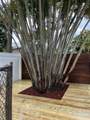 4509 Park Rd - Photo 40