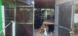 6966 Taft St - Photo 11
