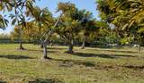20407 226th St - Photo 63