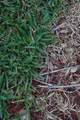 14902 65th Ter - Photo 27