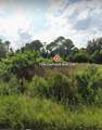 704 Gerhard Ave Sw - Photo 2