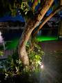 1460 Tagus Ave - Photo 38