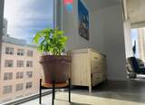 151 1st St - Photo 2