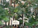 13633 Deering Bay Dr - Photo 34