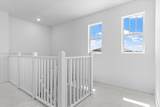 12237 43rd Ct - Photo 61