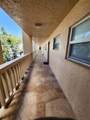 6670 Royal Palm - Photo 12
