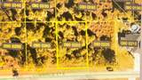 1245 Cummings St - Photo 2