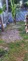 310 72nd Ter - Photo 27
