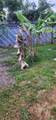310 72nd Ter - Photo 28