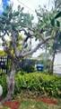 3046 59th St - Photo 16